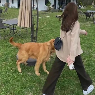 万物理论